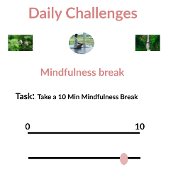 Daily Routine App Design Preview